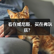 看在威尼斯,买在弗瑞兹?(图2) 看在威尼斯,买在弗瑞兹?(图2)