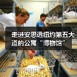 走进安思远纽约第五大道的公寓“博物馆”(图2) 走进安思远纽约第五大道的公寓“博物馆”(图2)