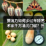 贾蔼力如何步过年轻艺术家千万港元门槛?各方回应苏富比夜拍“做局”争议(图4) 贾蔼力如何步过年轻艺术家千万港元门槛?各方回应苏富比夜拍“做局”争议(图4)