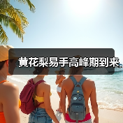 黄花梨易手高峰期到来(图3) 黄花梨易手高峰期到来(图3)