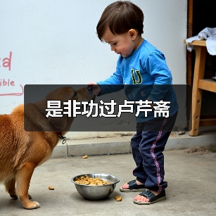 是非功过卢芹斋(图4) 是非功过卢芹斋(图4)