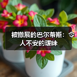被撤展的巴尔蒂斯:令人不安的暧昧(图1) 被撤展的巴尔蒂斯:令人不安的暧昧(图1)