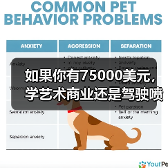 如果你有75000美元,学艺术商业还是驾驶喷火战斗机? 如果你有75000美元,学艺术商业还是驾驶喷火战斗机?