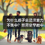 为什么孩子总是注意力不集中?恩育堂早教中心教你科学解决(图4) 为什么孩子总是注意力不集中?恩育堂早教中心教你科学解决(图4)