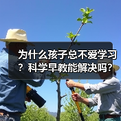 为什么孩子总不爱学习?科学早教能解决吗?(图3) 为什么孩子总不爱学习?科学早教能解决吗?(图3)