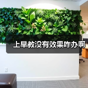 上早教没有效果咋办啊(图4) 上早教没有效果咋办啊(图4)