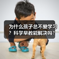 为什么孩子总不爱学习?科学早教能解决吗?(图4) 为什么孩子总不爱学习?科学早教能解决吗?(图4)